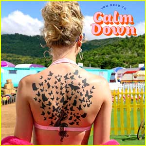 translate of taylor-swift-you-need-to-calm-down